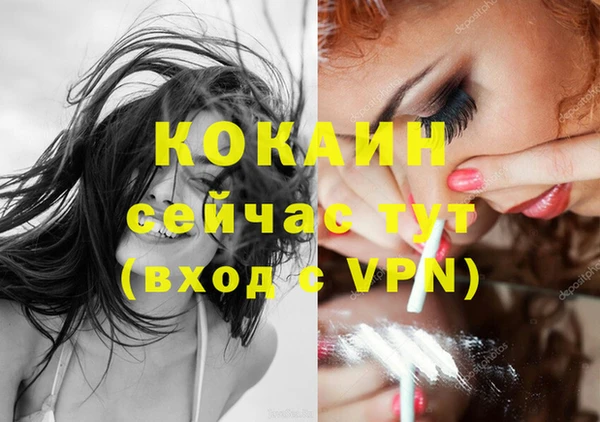 стаф Абаза